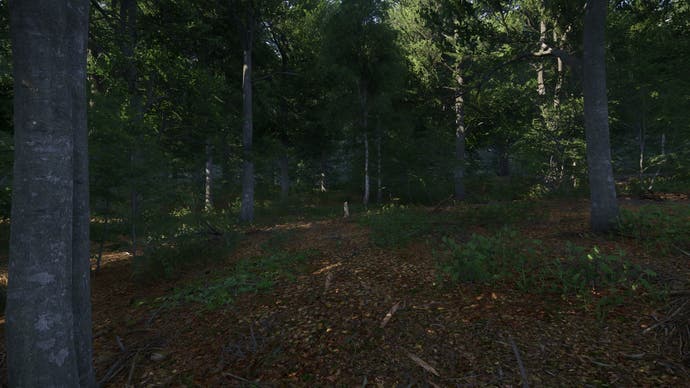 Kingdom Come Deliverance 2: forest shadows screenshot