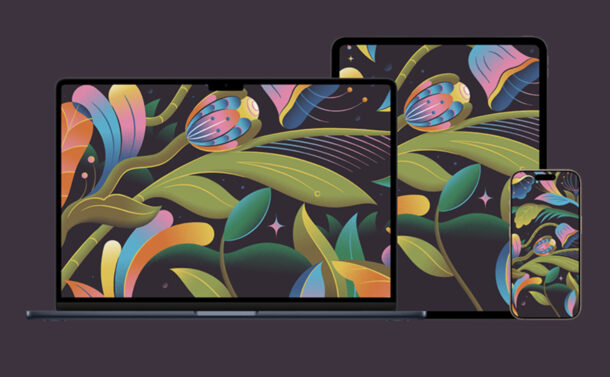 Miami tropical floral wallpapers from Apple