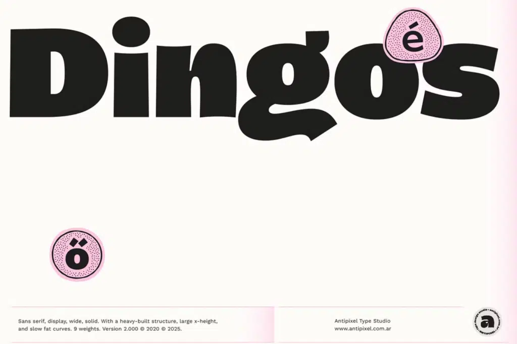 Dingos
