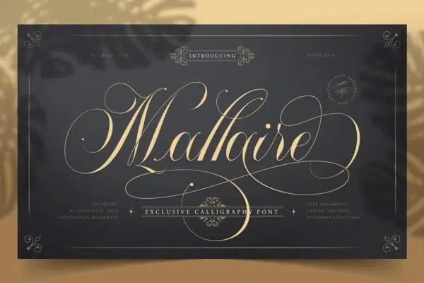 Mallaire Exclusive Calligraphy Font