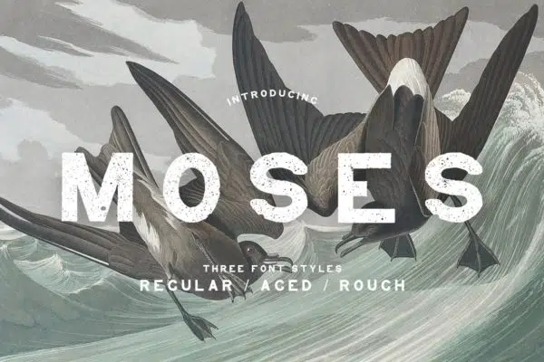 Moses – Display Grotesque Typeface